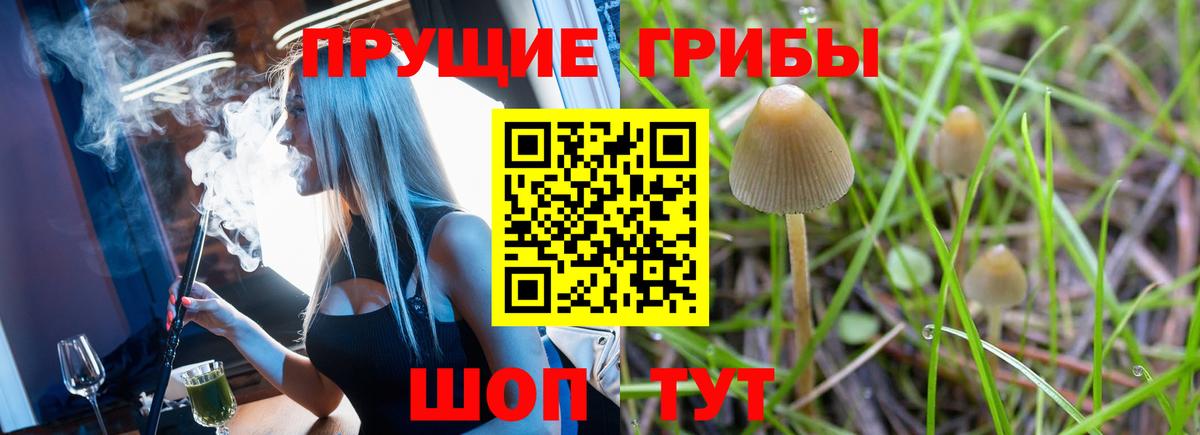 Псилоцибиновые грибы мухоморы  Вход с VPN  Россия 